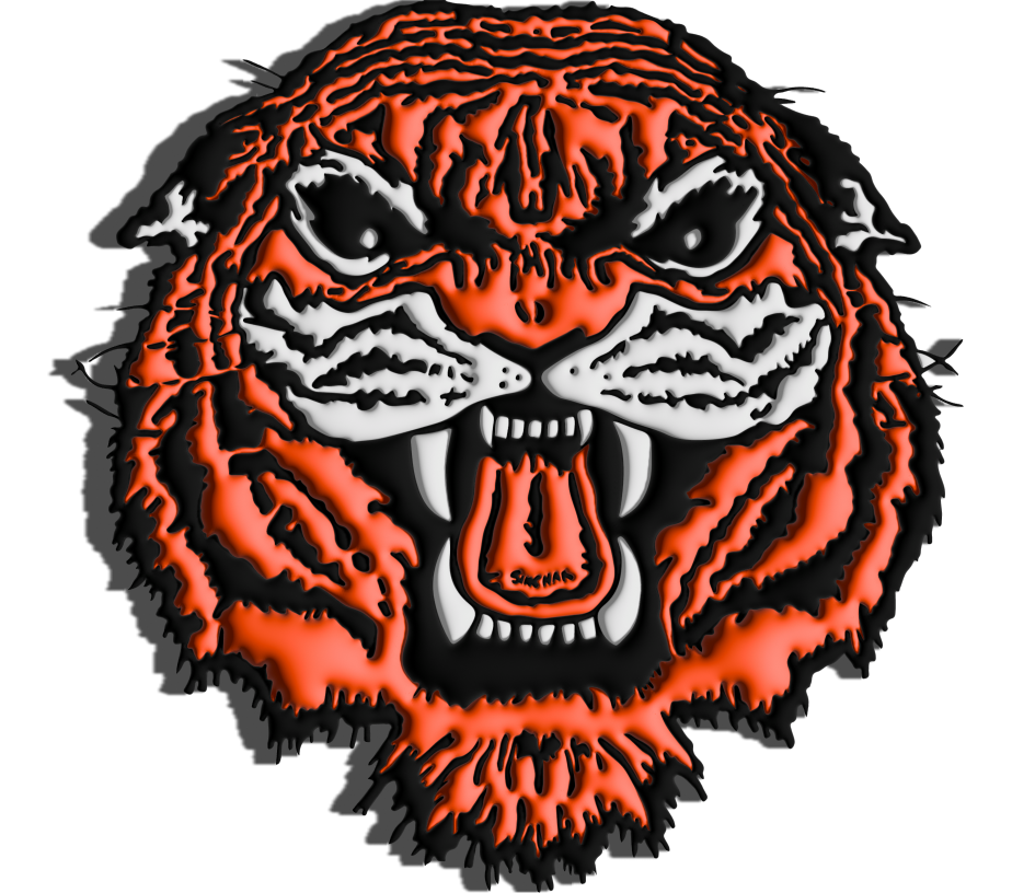 Newton Falls logo